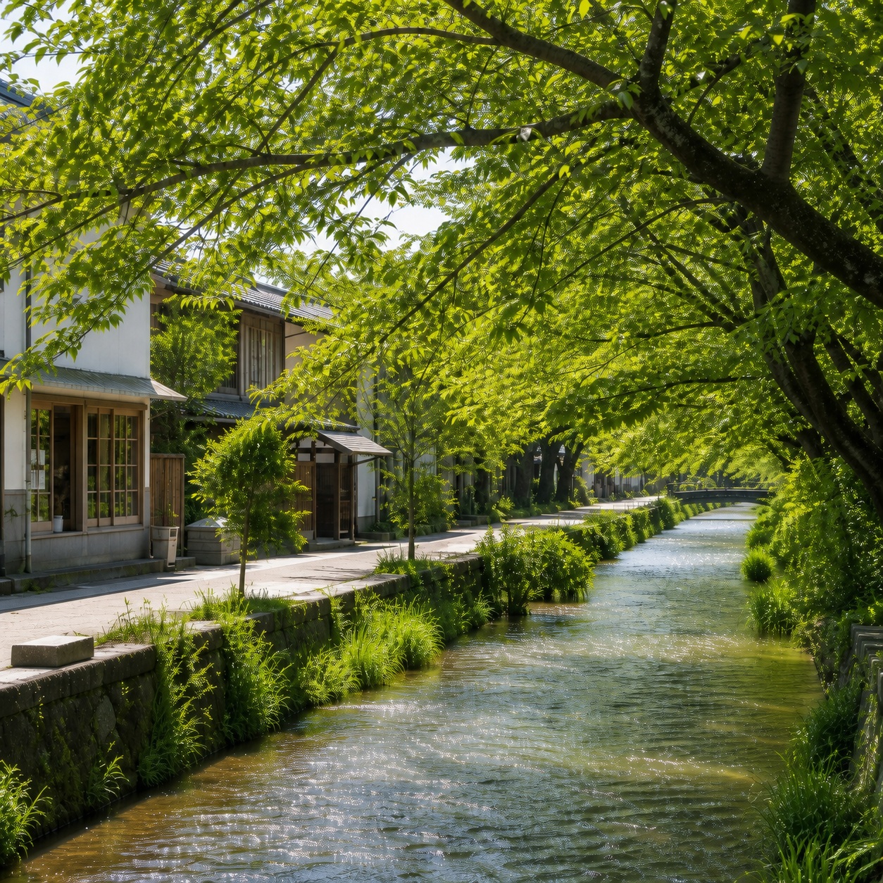 店の近くを流れる小川の桜並木