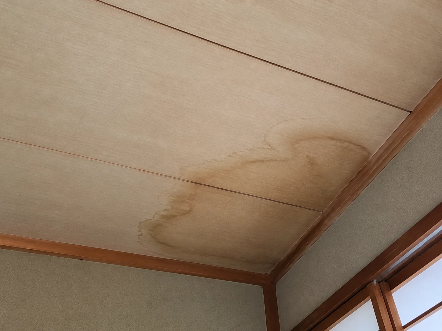 天井にできた雨漏りのシミ